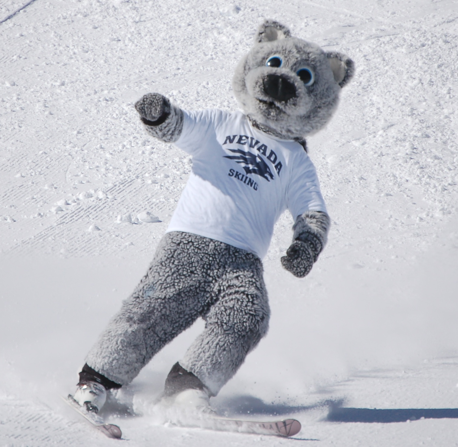 NEVADA INVITATIONAL SKI RACES